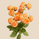 Кущова троянда на 15 квіток, помаранчевий, 36 см VDК02251 фото 1